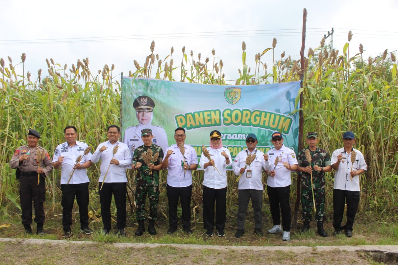 Dandim 1016/Plk Panen Sorghum Bersama Pj Walikota Palangka Raya