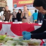 Polresta Deli Serdang Memusnahkan Barang Bukti Narkoba