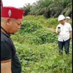 PT. Eagle High Diduga Langgar Tata Krama Adat Dayak Saat Panen Kelapa Sawit Dilahan Klaim Warga Bedaun.