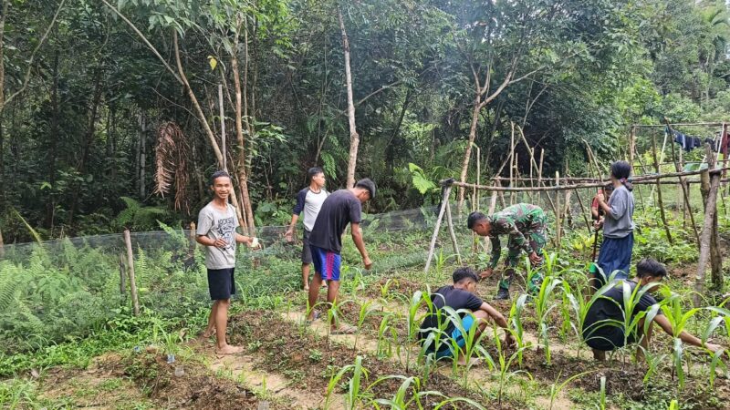 Satgas Pamtas Yonzipur 5/ABW Membangun Ketahanan Pangan Dengan Manfaatkan Lahan di Pekarangan