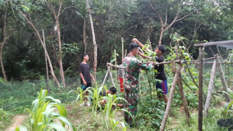 Remaja Rumah Singgah Siap Wujudkan Ketahanan Pangan Melalui Program Berkebun