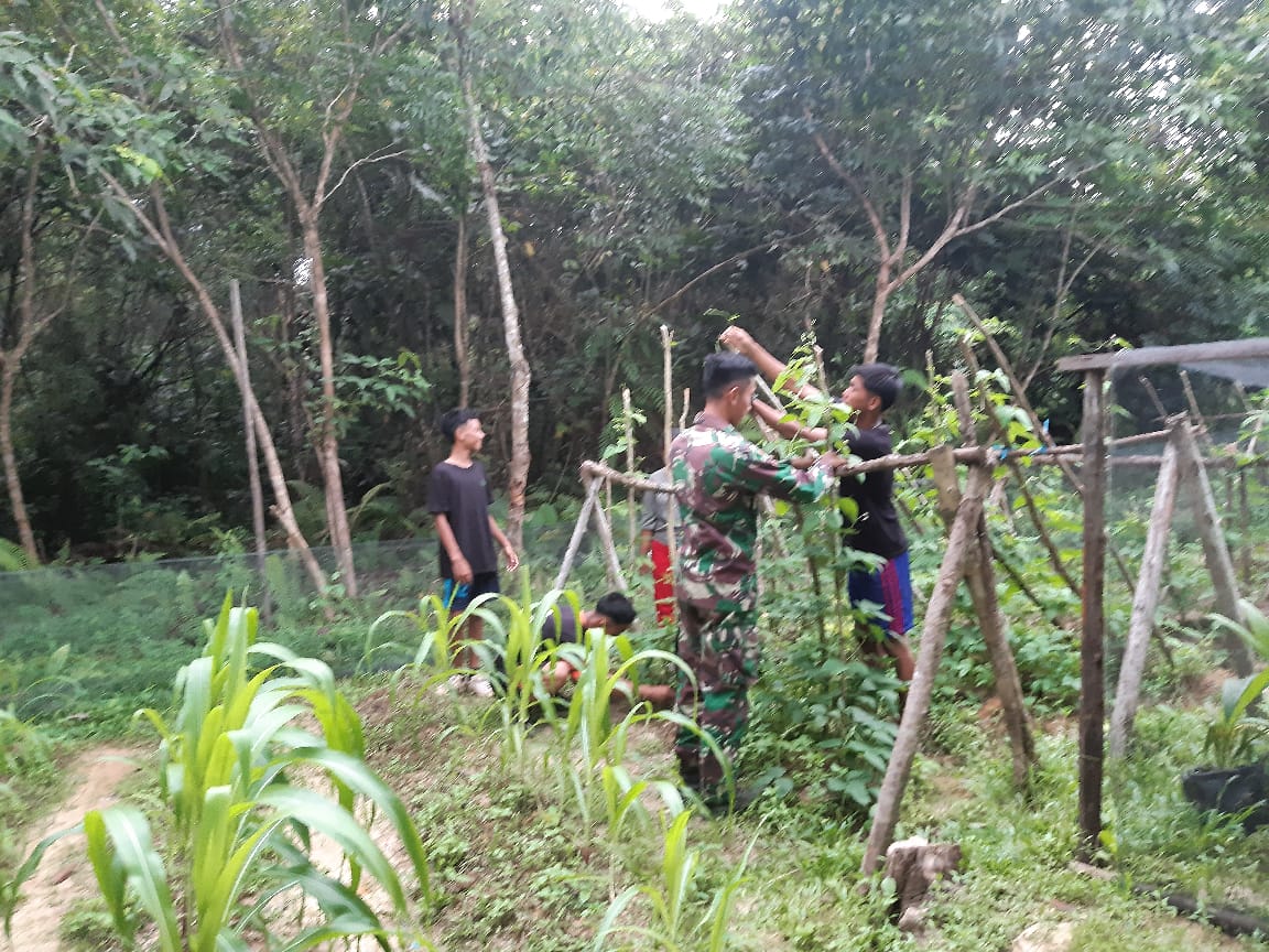 Remaja Rumah Singgah Siap Wujudkan Ketahanan Pangan Melalui Program Berkebun