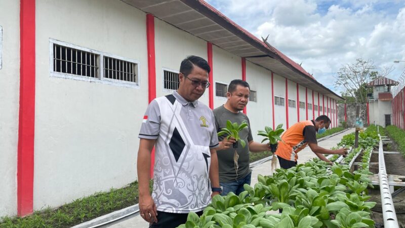 Panen Sayur Pakcoy Hasil Hidroponik Kegiatan Pembinaan Warga Binaan Lapas Sampit