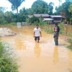 Babinsa Koramil 1016-05/Rungan Monitoring Banjir Luapan Sungai Baringei