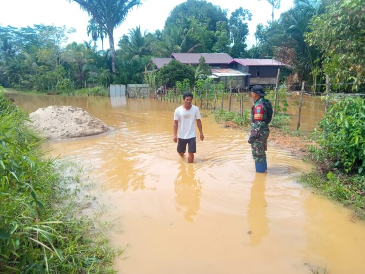 Babinsa Koramil 1016-05/Rungan Monitoring Banjir Luapan Sungai Baringei