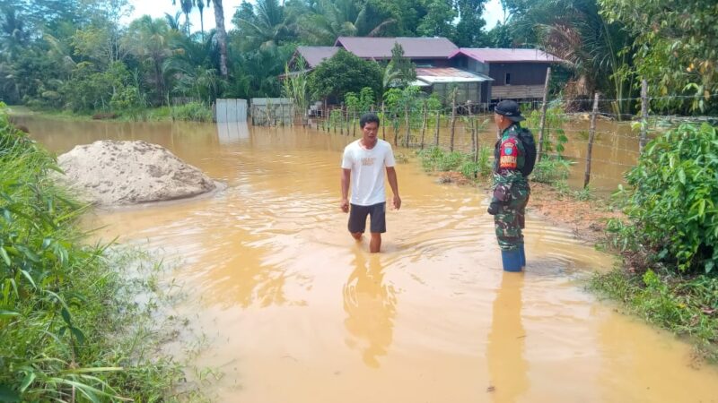 Babinsa Koramil 1016-05/Rungan Monitoring Banjir Luapan Sungai Baringei