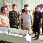 Dandim 1016/Palangka Ikuti Tanam Bersama Program Optimalisasi lahan (OPLA) Kementerian Pertanian Tahun 2024 Di Kecamatan Tewah