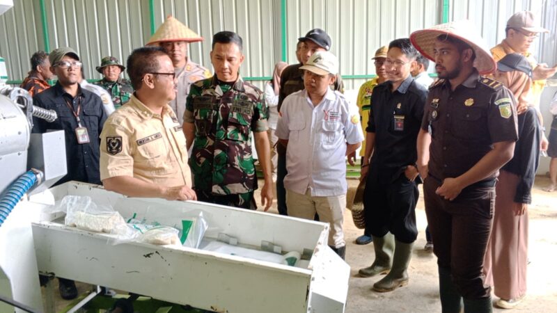 Dandim 1016/Palangka Ikuti Tanam Bersama Program Optimalisasi lahan (OPLA) Kementerian Pertanian Tahun 2024 Di Kecamatan Tewah