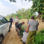 Tak Tersentuh dan Tidak Pernah Diperhatikan Pemerintah, Warga Dusun Lembung Desa Paseyan Sampang Swadaya Perbaiki Jalan Sendiri.