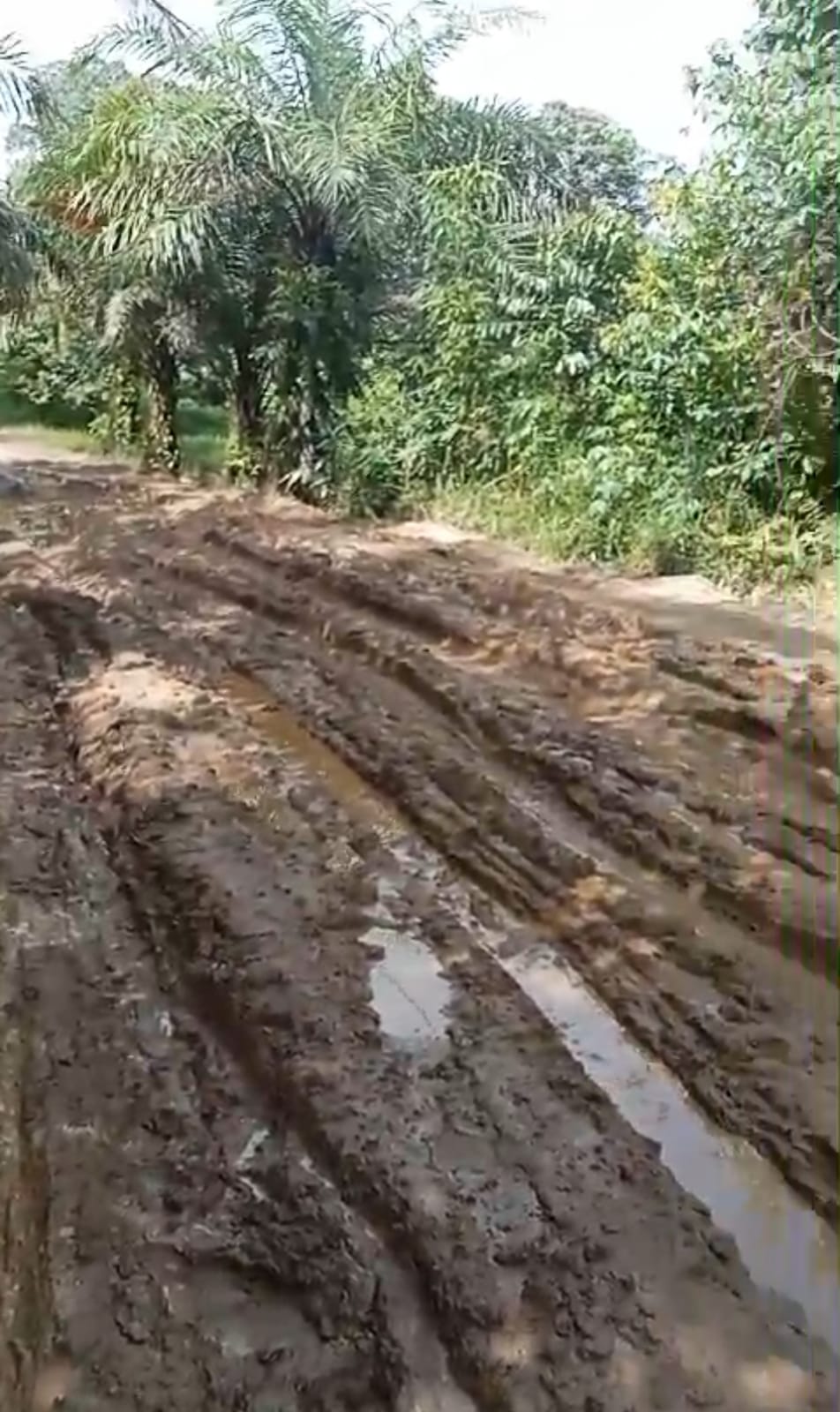 Warga Keluhkan Jalan Poros Dermaga Penyeberangan Terantang Kecamatan Baamang KOTIM Yang Rusak Parah