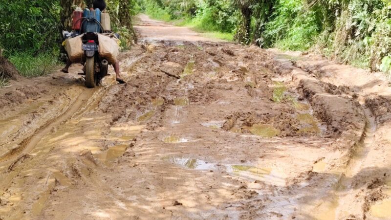 Diduga Pekerjaan Proyek Penimbunan Jalan di Kecamatan Baamang KOTIM Dikerjakan Tidak Sesuai Spesifikasi Dieluhkan Warga.