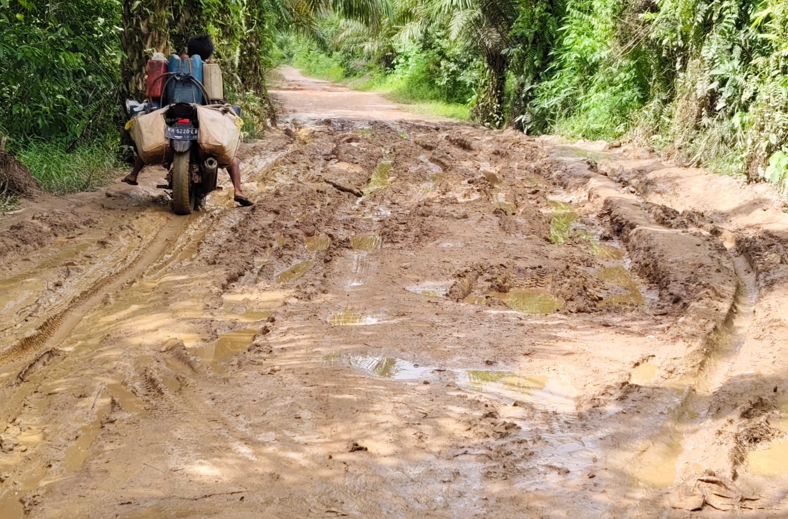 Diduga Pekerjaan Proyek Penimbunan Jalan di Kecamatan Baamang KOTIM Dikerjakan Tidak Sesuai Spesifikasi Dieluhkan Warga.