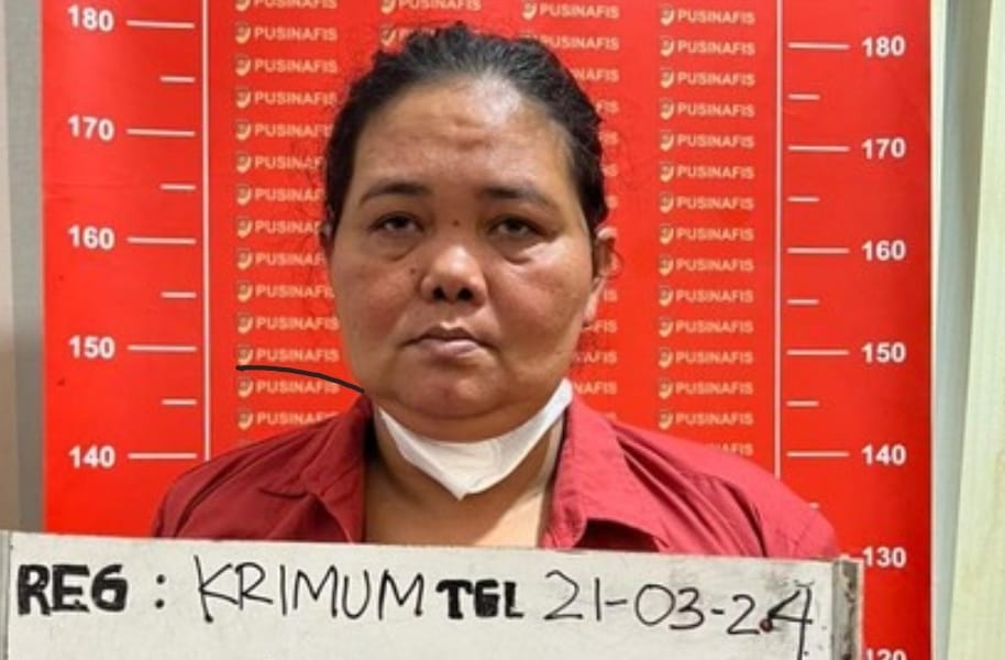 Sidang Kasus Penipuan Masuk Akpol Nina Wati Lalap Ditunda Belasan Kali Di PN Lubuk Pakam
