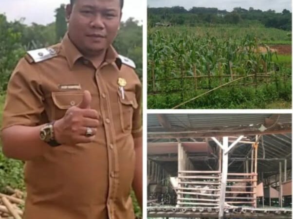 Ketahanan Pangan Pemdes Jaga Bita : Diasosiasikan Peternakan Dan Pertanian