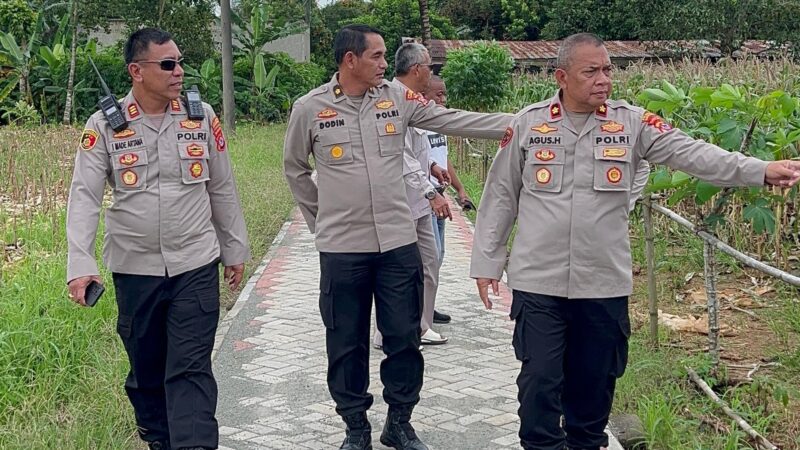 Kapolsek Tigaraksa Cek Lahan Ketahanan Pangan, Jagung 18 Ton yang Siap Panen di Desa Pematang