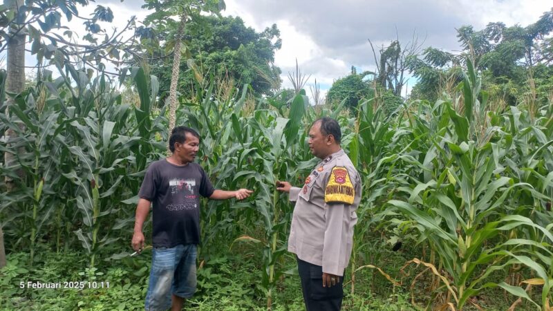 Dukung Program Ketahanan Pangan, Bhabinkamtibmas Lakukan Penanaman Jagung