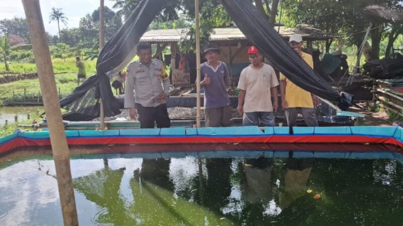 Dukung Ketahanan Pangan, Personil Polsek Balaraja Melakukan Pemantauan Warga Yang Memanfaatkan Lahannya Untuk Program Ketahanan Pangan (budidaya lele) di Kelurahan Balaraja