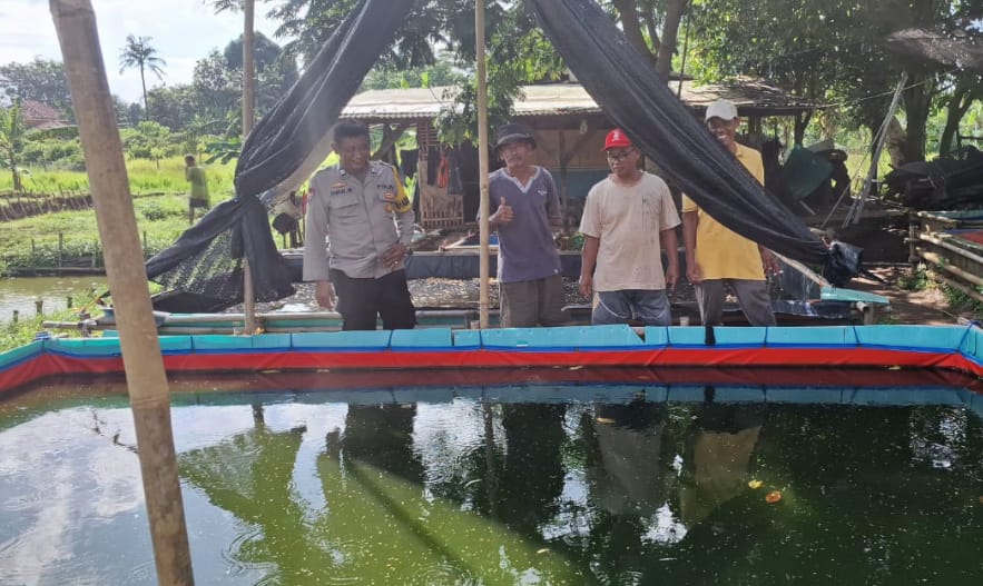 Dukung Ketahanan Pangan, Personil Polsek Balaraja Melakukan Pemantauan Warga Yang Memanfaatkan Lahannya Untuk Program Ketahanan Pangan (budidaya lele) di Kelurahan Balaraja