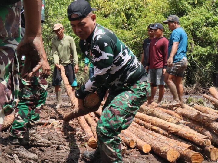 Puluhan personil Satgas TMMD Reg Ke-123 Kodim 1019/Katingan bersama warga bersatu padu Mengangkut Kayu Cerucuk Untuk Badan Jalan