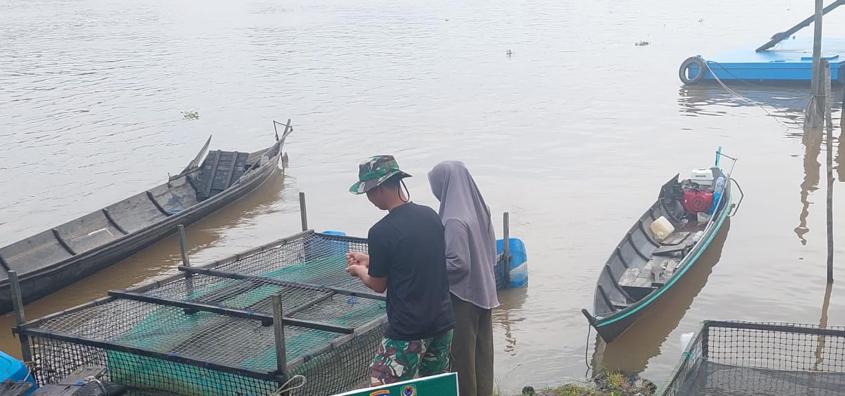 Anggota Satgas TMMD Ke-123, Dampingi Peternak Beri Makan Ikan.