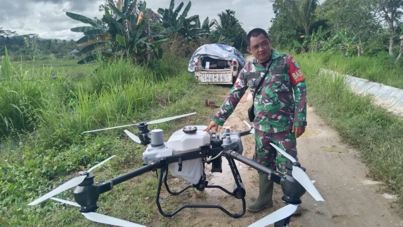 Babinsa Koramil 1016-07/Tewah Dampingi Penyemprotan Tanaman Padi Dengan Teknologi Drone