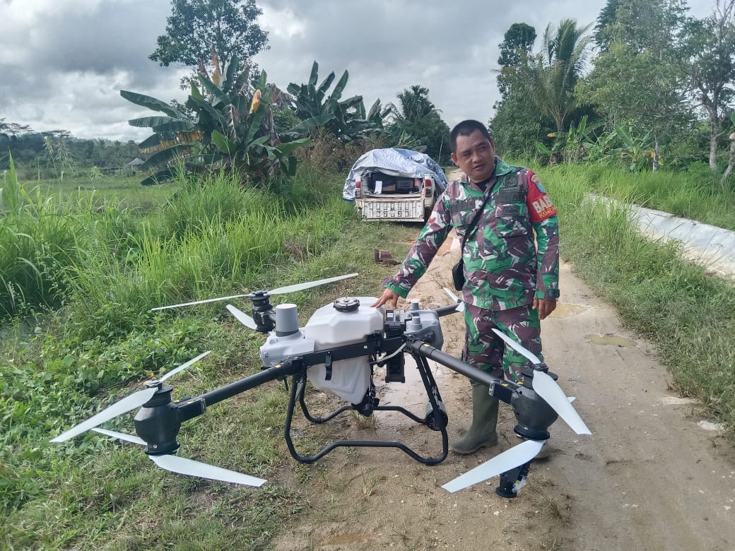 Babinsa Koramil 1016-07/Tewah Dampingi Penyemprotan Tanaman Padi Dengan Teknologi Drone