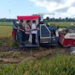 Dukung Swasembada Pangan, Dandim 1015/Sampit Bersama Forkopimda Panen Raya Padi