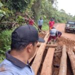 Kades Batuah Sudarno Bersama Puluhan Warga Gotong Royong Perbaiki Jalan Rusak