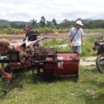 Babinsa Dan Masyarakat Tewah Turut Menciptakan Swasembada Pangan Secara Nasional