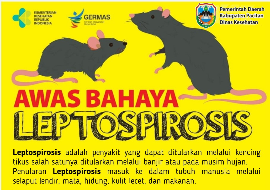 Musim Hujan Tiba, Waspada Ancaman Leptospirosis: Masyarakat Pacitan Diminta Tetap Siaga