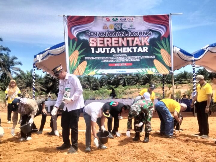 Dukung Program Ketahanan Pangan Nasional, Danramil 1015-05/Kota Besi Hadiri Penanaman Jagung