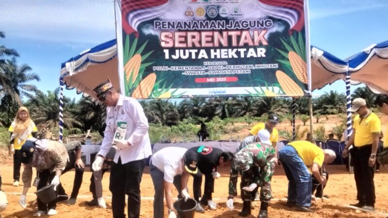Dukung Program Ketahanan Pangan Nasional, Danramil 1015-05/Kota Besi Hadiri Penanaman Jagung