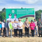 Babinsa Koramil 1015-08/Mentaya Hulu Hadiri Penanaman Jagung Di Wilayah