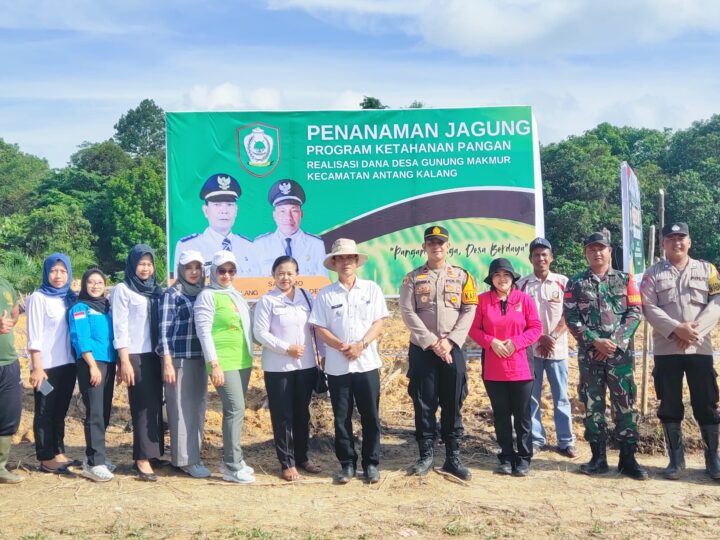 Babinsa Koramil 1015-08/Mentaya Hulu Hadiri Penanaman Jagung Di Wilayah