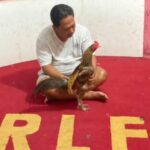 GEMAH Bongkar Dugaan Pemerasan Anggota DPRD DKI Untuk Judi Sabung Ayam
