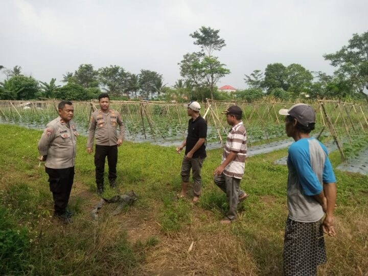 Optimalkan Ketahanan Pangan Polsek Panongan Gandeng Masyarakat