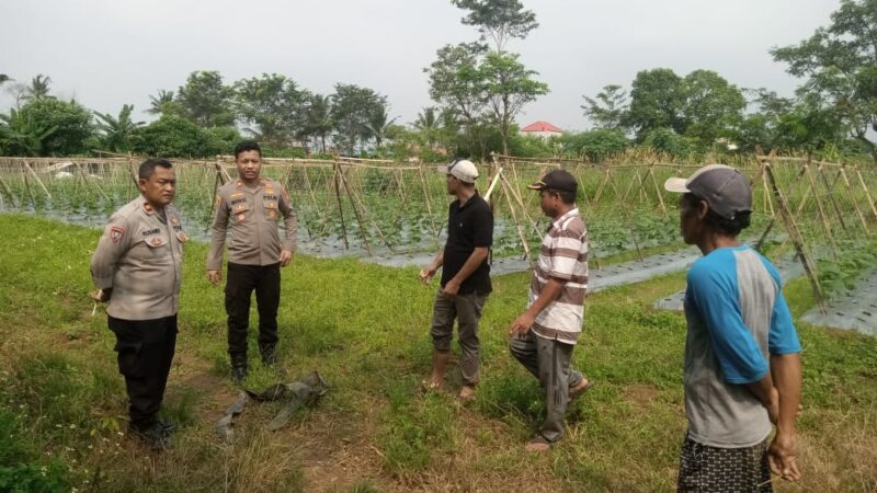 Optimalkan Ketahanan Pangan Polsek Panongan Gandeng Masyarakat