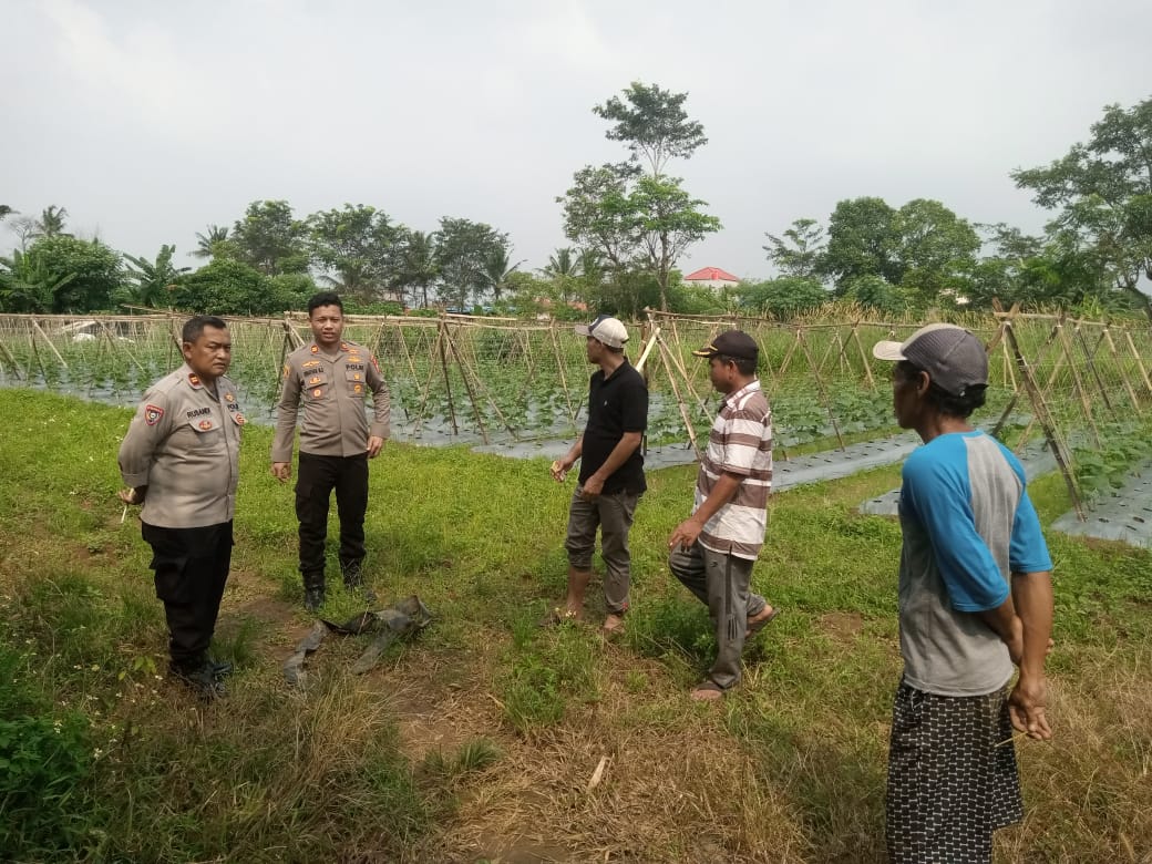 Optimalkan Ketahanan Pangan Polsek Panongan Gandeng Masyarakat