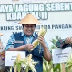 Giat Wakil Bupati Pacitan Gagarin Sumrambah Panen Raya Jagung di Kecamatan Arjosari.
