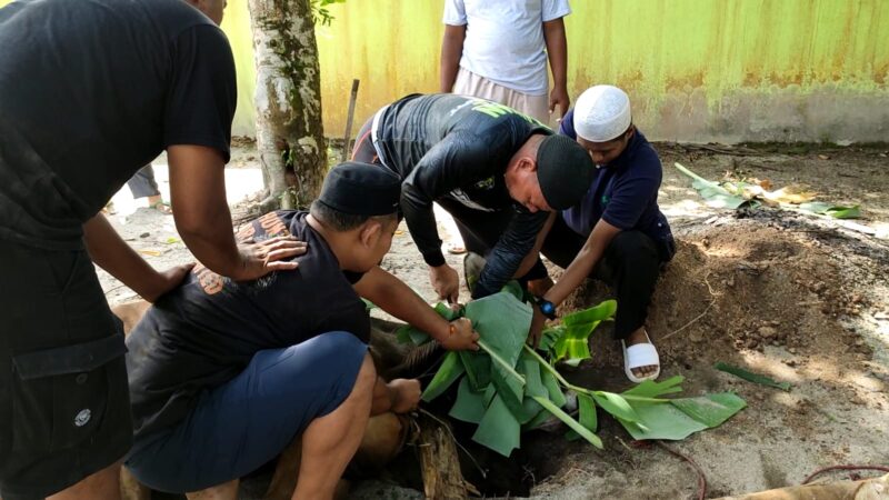 Kodim 1015/Sampit Gelar Penyembelihan Hewan Qurban