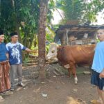 Momentum Idul Adha 1446 H.(2025) Pepen Supendi Gelar Kurban Bersama Keluarga.