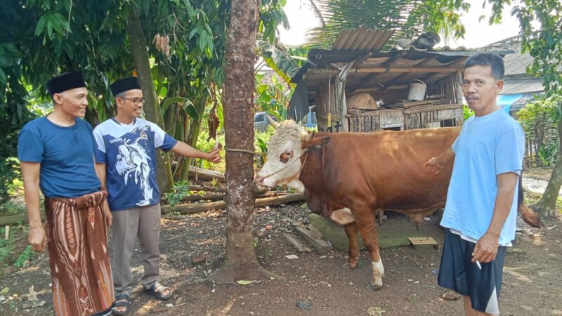 Momentum Idul Adha 1446 H.(2025) Pepen Supendi Gelar Kurban Bersama Keluarga.