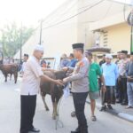 Polres Metro Jakarta Utara Serahkan 80 Hewan Qurban untuk Warga Kurang Mampu dan Slum Area