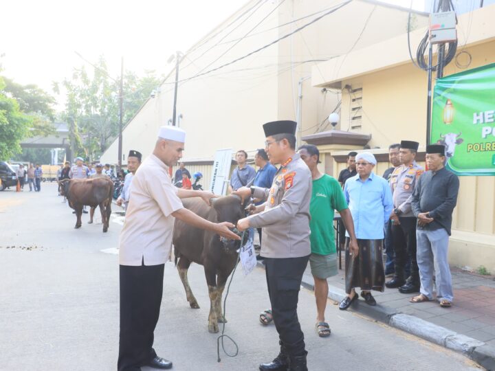 Polres Metro Jakarta Utara Serahkan 80 Hewan Qurban untuk Warga Kurang Mampu dan Slum Area