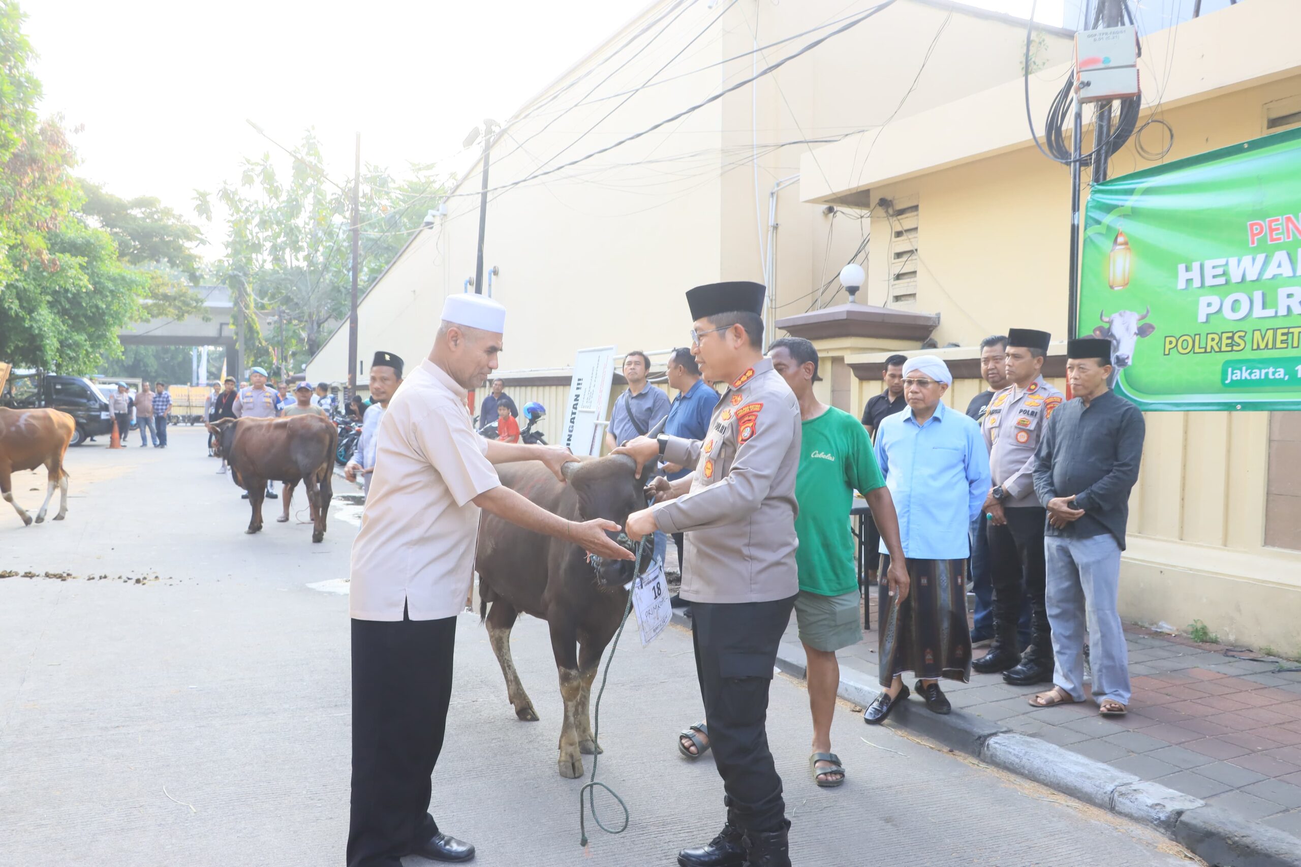 Polres Metro Jakarta Utara Serahkan 80 Hewan Qurban untuk Warga Kurang Mampu dan Slum Area