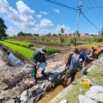 Wujud Kemanunggalan TNI Dan Rakyat, Babinsa Koramil 01/Phd Gotong Royong Memperbaiki Drainase Di Wilayah Binaan