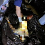 Masyarakat Berharap Kepada APH Usut Tuntas Misteri Kematian Oknum Security PT. AWL KMS