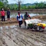 Babinsa Operasikan Transplanter Bantu Petani Tanam Padi di Kecamatan Tewah