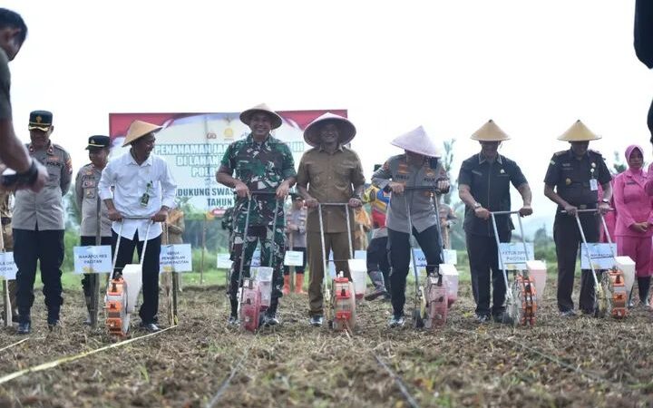Bupati Dan Forkopimda Pacitan Tanam Jagung Mendukung Swasembada Pangan