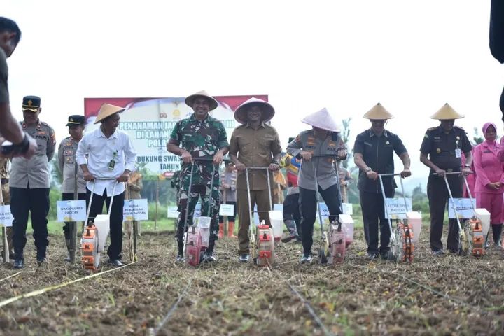 Bupati Dan Forkopimda Pacitan Tanam Jagung Mendukung Swasembada Pangan